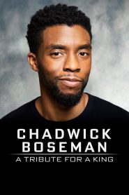 Chadwick Boseman: A Tribute for a King
